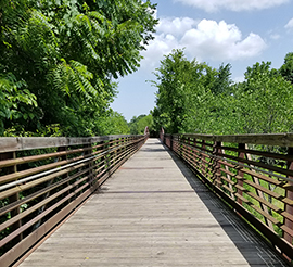 greenway bridge