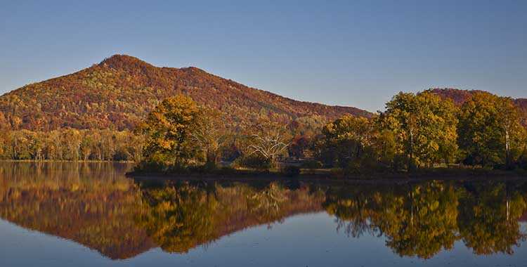 Cove Lake