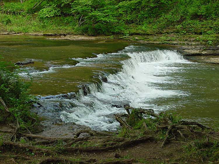 David Crockett