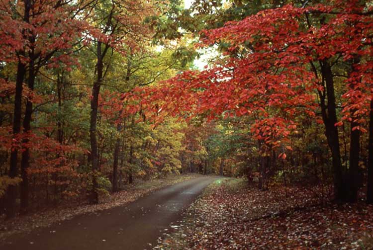 Natchez Trace