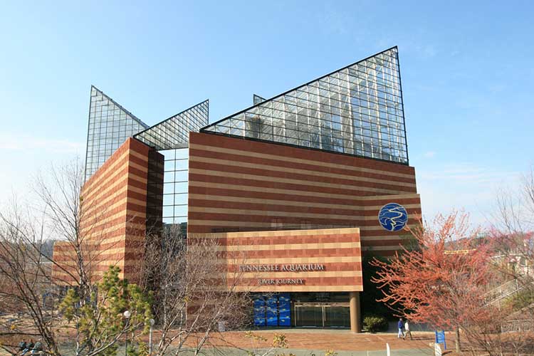 Tennessee Aquarium