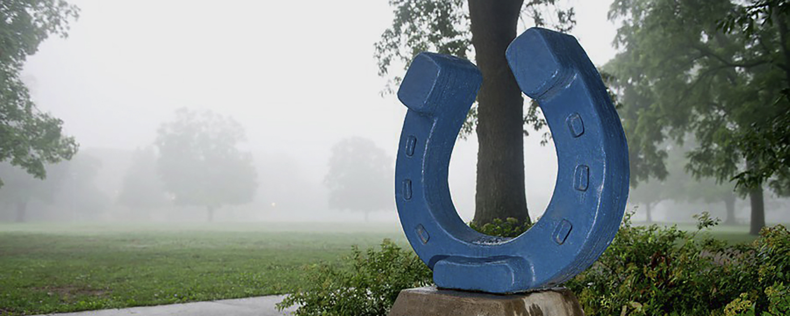 Blue Raider Horseshoe